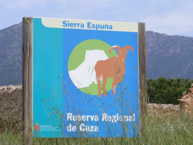 Sierra Espuna.JPG